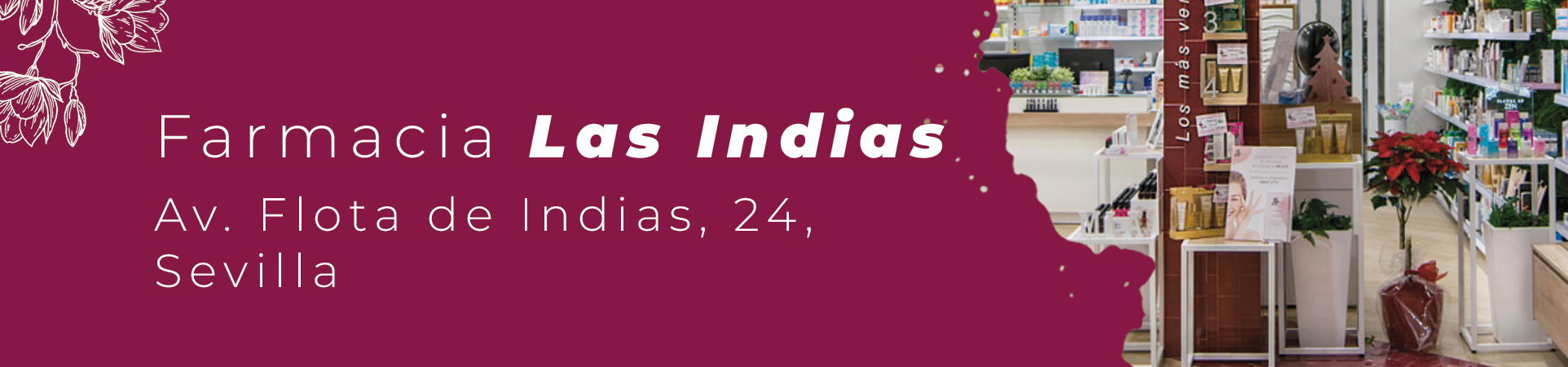 Especialistas en Dietética y Nutrición en Sevilla
